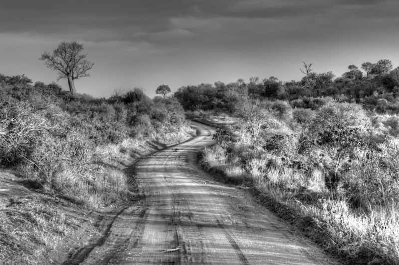 kenya_2012_KEN_1369_hdr